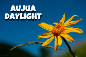 Aujua 日焼け止め🌞