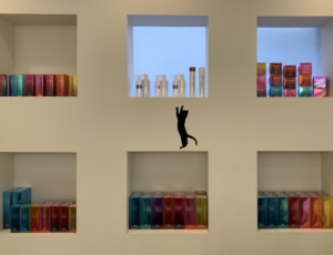 シャンプー　トリートメント